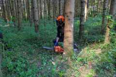 IMG-20250501-WA0023