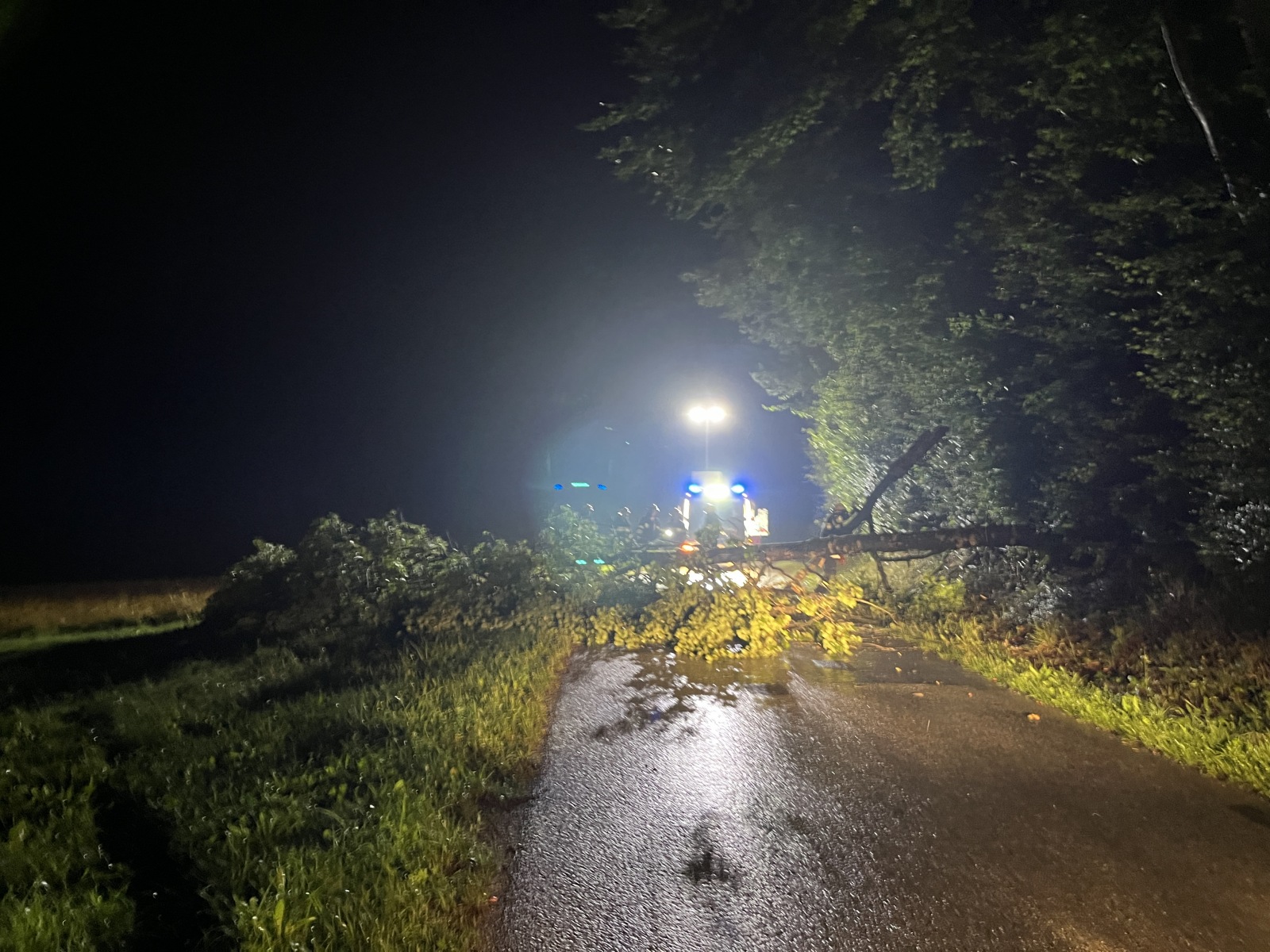 t01-baum-ber-stra-e-100-jahre-freiwillige-feuerwehr-neudorf