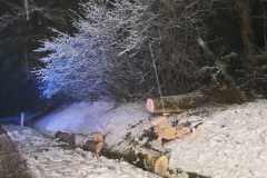 IMG-20210106-WA0006
