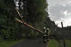 IMG-20210625-WA0020