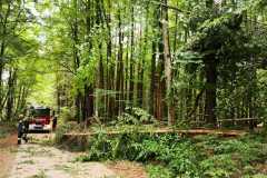 IMG-20220521-WA0004