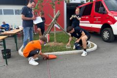 IMG-20250831-WA0113