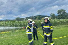 IMG-20250831-WA0125