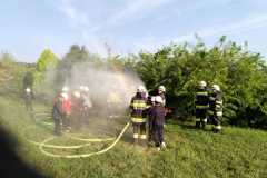 WhatsApp-Image-2024-08-25-at-00.42.33