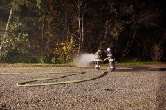 sff_00062025-11-07-BDLP-2025