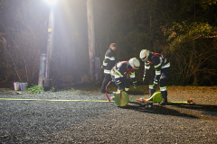 sff_00202025-11-07-BDLP-2025