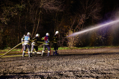 sff_00212025-11-07-BDLP-2025