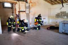 IMG-20240303-WA0008