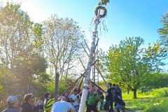IMG-20260501-WA0054