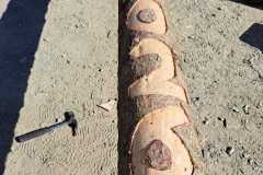 IMG-20260501-WA0066