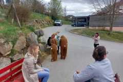 IMG-20260404-WA0013