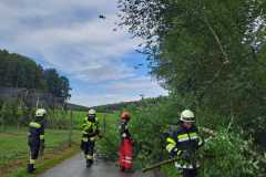 IMG-20260718-WA0005