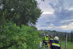 IMG-20260718-WA0008