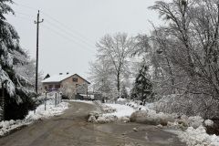 WhatsApp-Image-2026-02-20-at-08.44.22