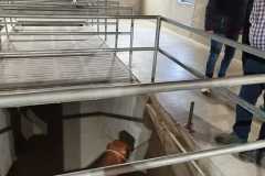 IMG-20221001-WA0069